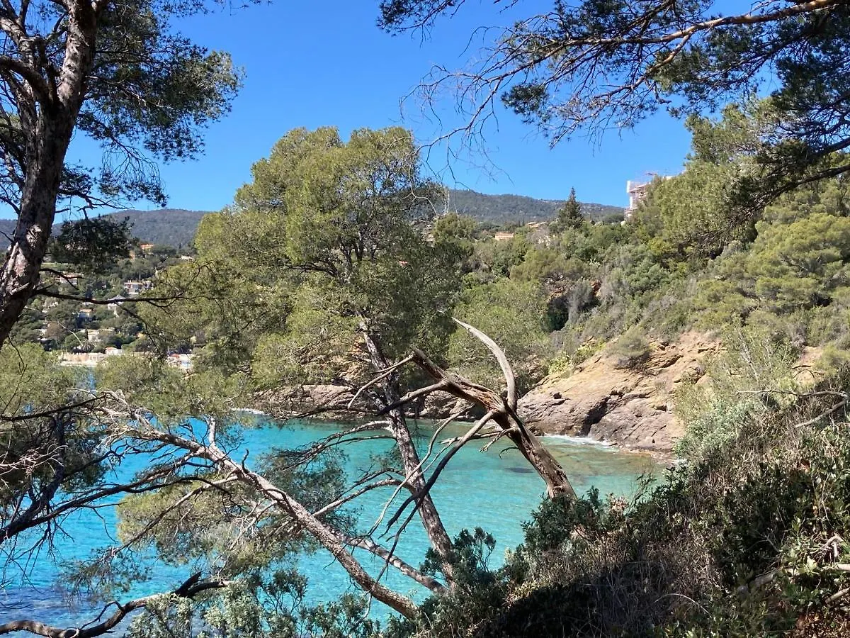 Apartament Studio 110 Grande Terrasse Proche Mer Bandol