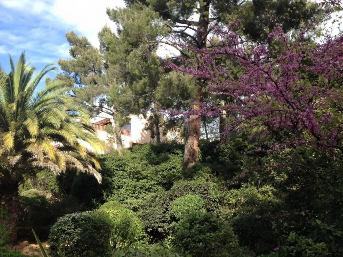 Apartment Studio 110 Grande Terrasse Proche Mer Bandol