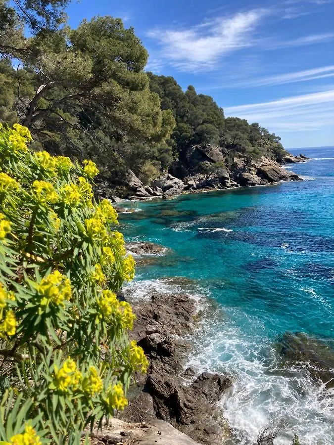 Studio 110 Grande Terrasse Proche Mer Bandol France